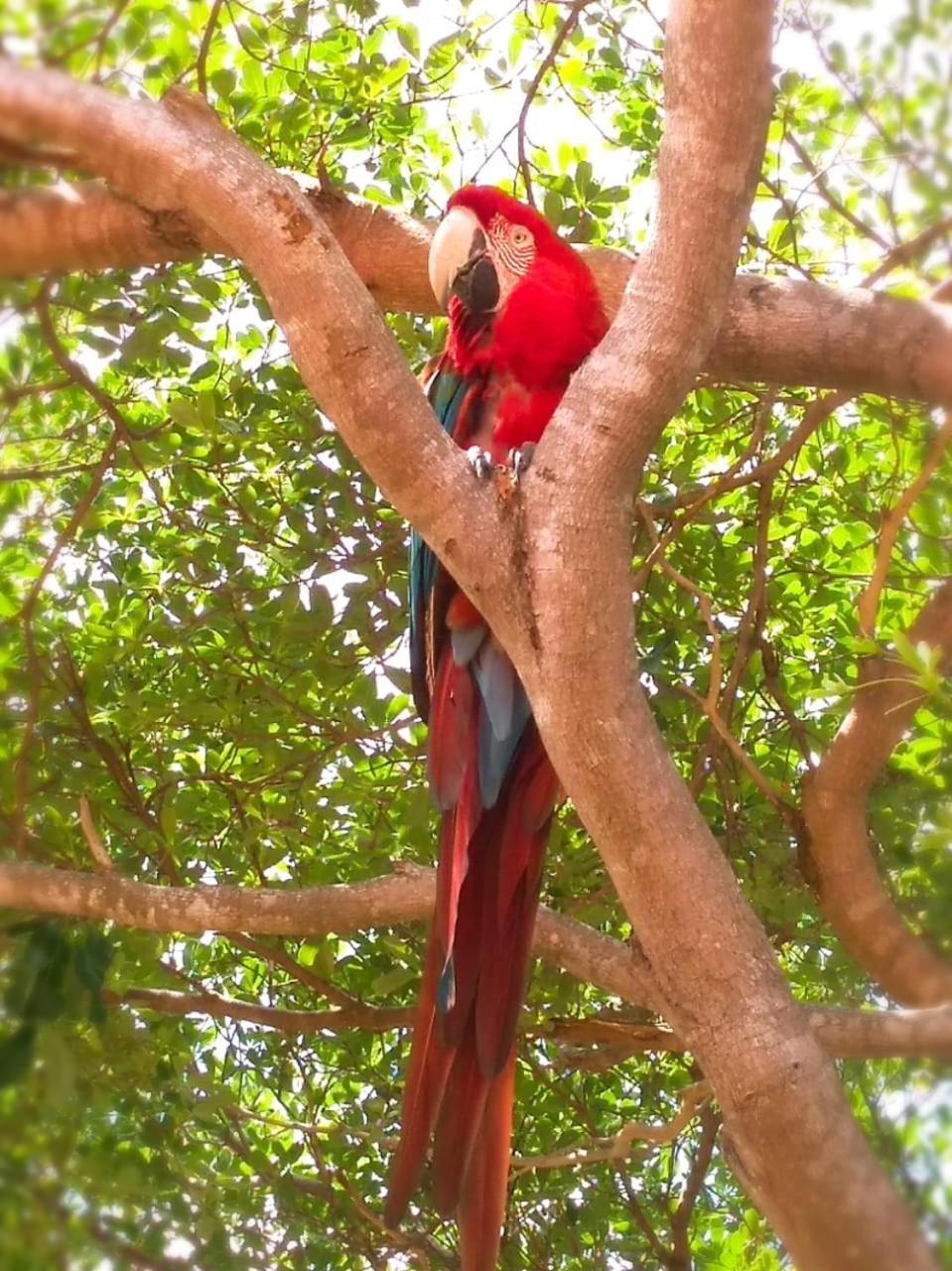 Pousada Rancho Das Dunas Santo Amaro do Maranhao Buitenkant foto